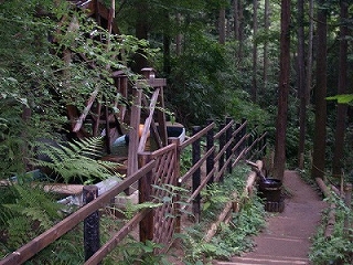 c0144467_16595682.jpg