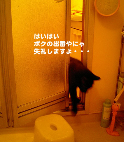 a0084070_23193123.jpg