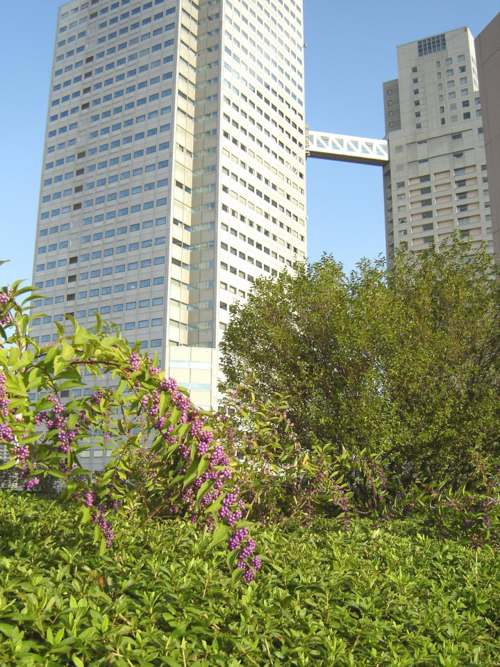 d0037284_17504630.jpg