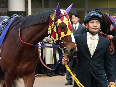 第30回エリザベス女王杯　スイープトウショウ　競馬　アイドルホース　ウマ娘 第30回エリザベス女王杯 スイープトウショウ 競馬 アイドル