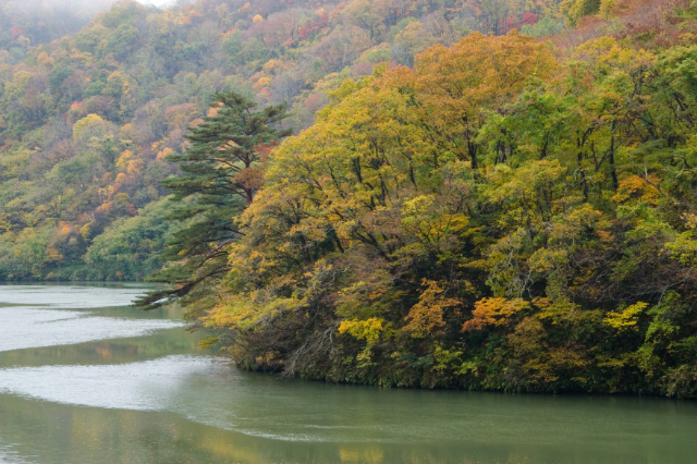 阿賀町 旧鹿瀬 阿賀野川_c0092386_2262644.jpg