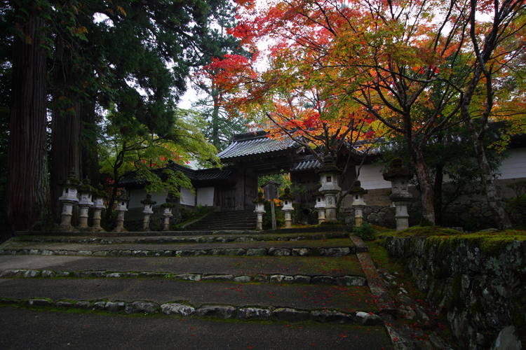 紅葉の西明寺_e0051888_21173349.jpg