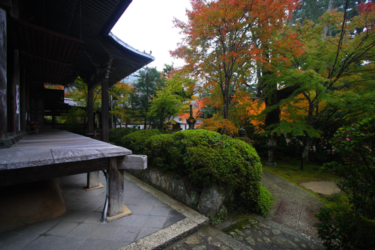 紅葉の西明寺_e0051888_2122265.jpg