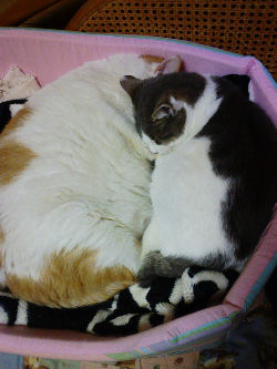 c0049489_2251493.jpg