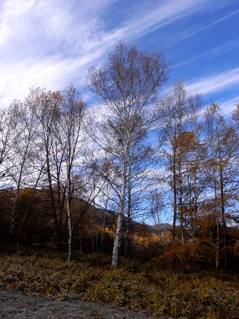 a0093592_185494.jpg
