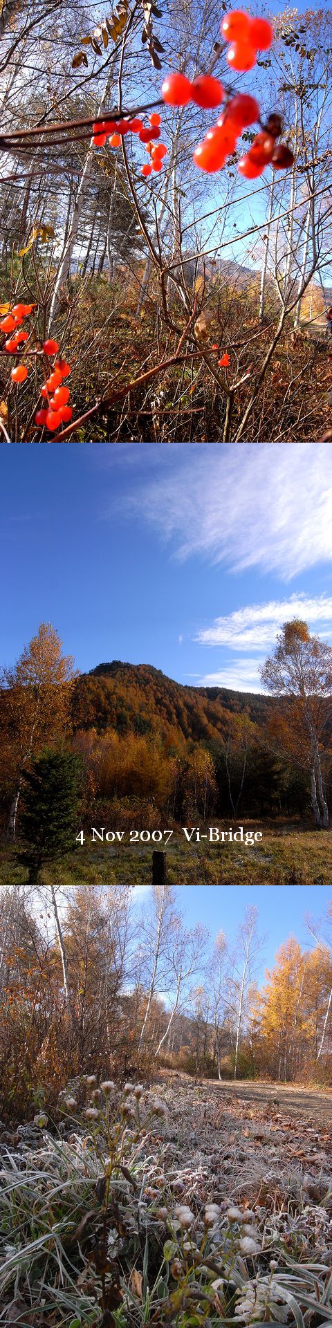 a0093592_23175644.jpg