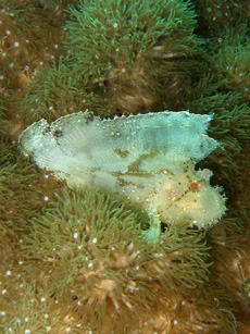 c0097095_16193410.jpg