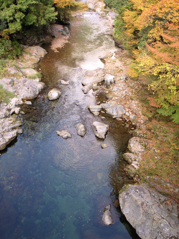 吉野大峯林道　02_c0015099_22265141.jpg