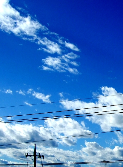 d0079302_17253151.jpg