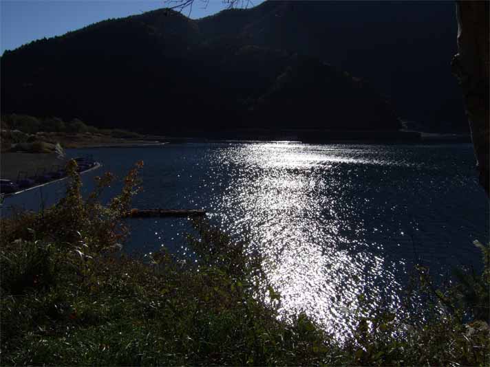 富士五湖&東山湖。_f0157505_14532359.jpg