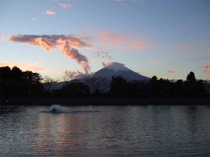 富士五湖&東山湖。_f0157505_15215825.jpg
