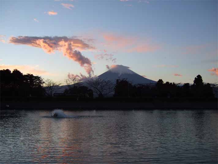 富士五湖＆東山湖。_f0157505_15215825.jpg