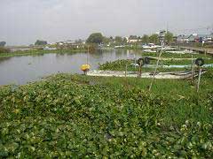 e0093407_1610513.jpg