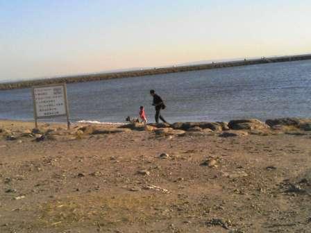 c0130324_21592075.jpg
