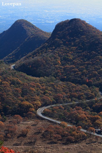 c0136926_8441315.jpg