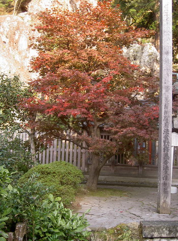 a0099732_16283552.jpg