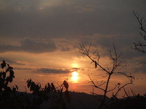 a0054240_21492847.jpg
