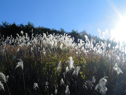 c0021441_1011078.jpg