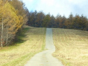 ちょっと楽した武尊山_f0065941_21265914.jpg