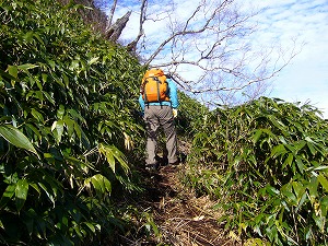 ちょっと楽した武尊山_f0065941_21484184.jpg