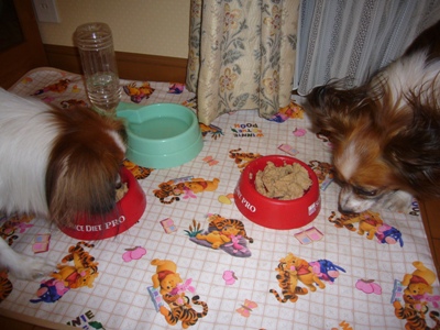 e0100046_2256741.jpg