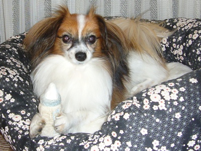 e0100046_22575370.jpg