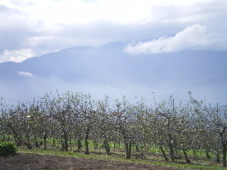 c0118352_644347.jpg