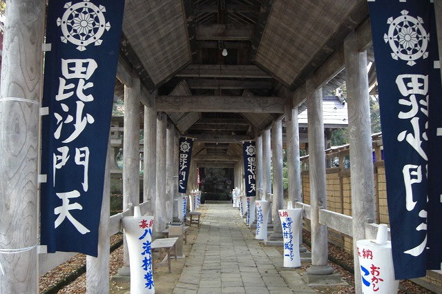 菊祭り_a0084753_1132273.jpg