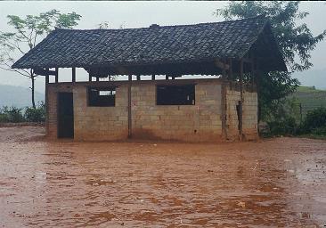 f0141553_15610.jpg