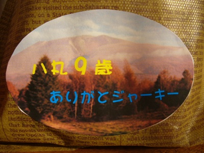 b0045357_8124718.jpg