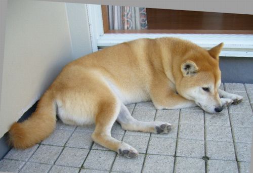 2007年11月13日(火)地中海より青い海_f0060461_1445972.jpg