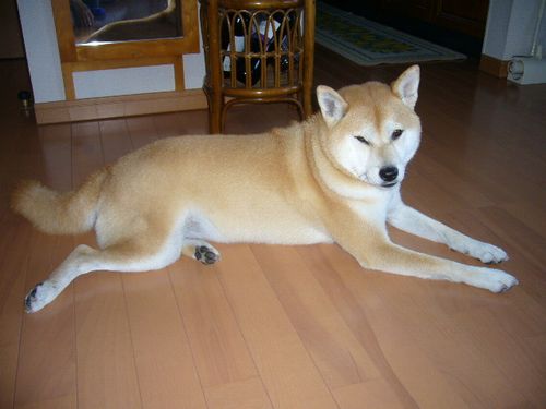 2007年11月13日(火)地中海より青い海_f0060461_17304034.jpg