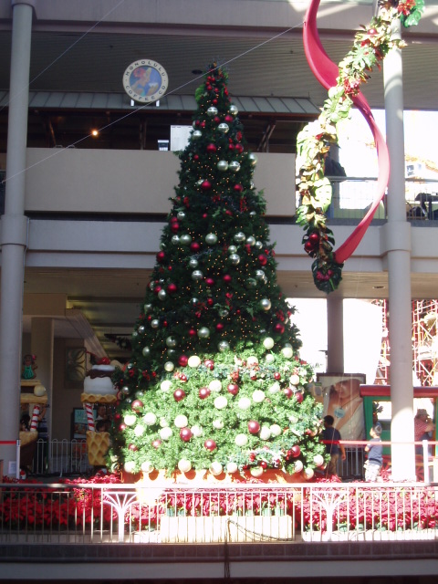 e0123680_17295875.jpg
