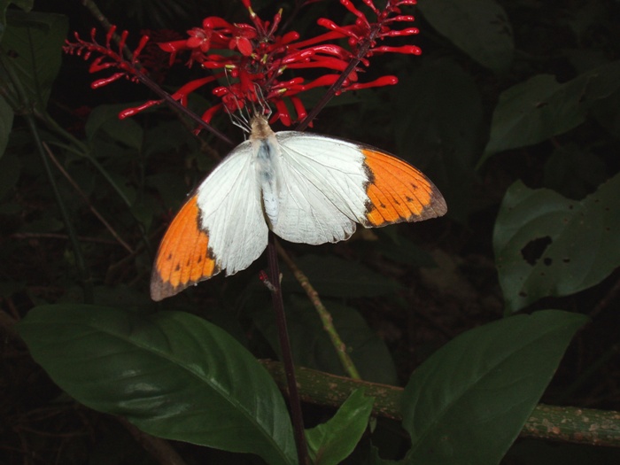 f0083281_04145.jpg