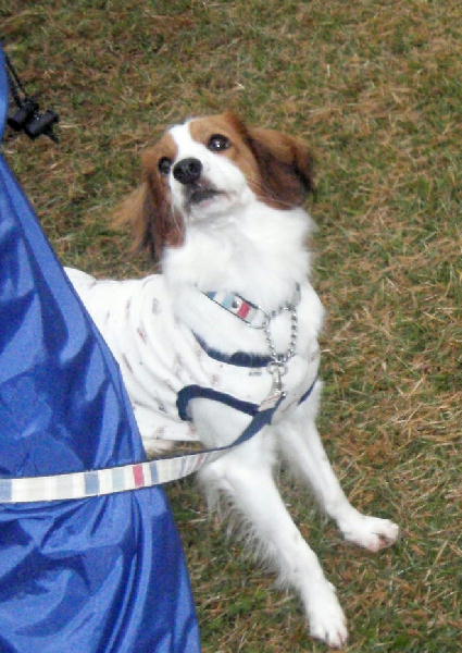 c0075585_2463340.jpg
