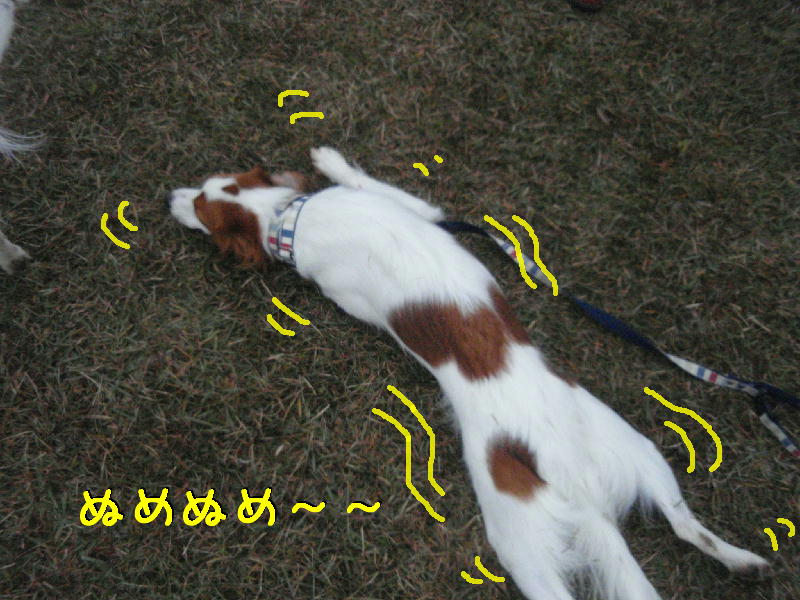 c0075585_312371.jpg