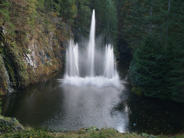 The Butchart gardens。_c0136092_22473836.jpg