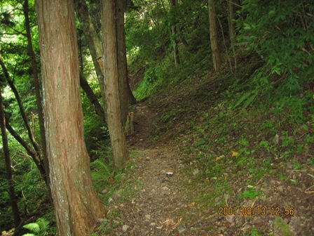 大峯奥駈道北部縦走1日目(2007.8.13)近鉄吉野駅~山上ガ岳(竜泉寺)_c0147398_1206100.jpg