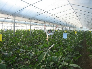 香川から帰ってきました。その1★_f0124006_10295522.jpg