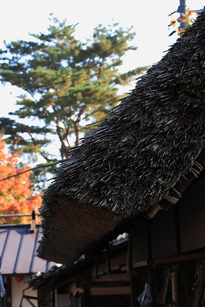 紅葉の山寺　普門寺　☆　2_d0120622_20481673.jpg