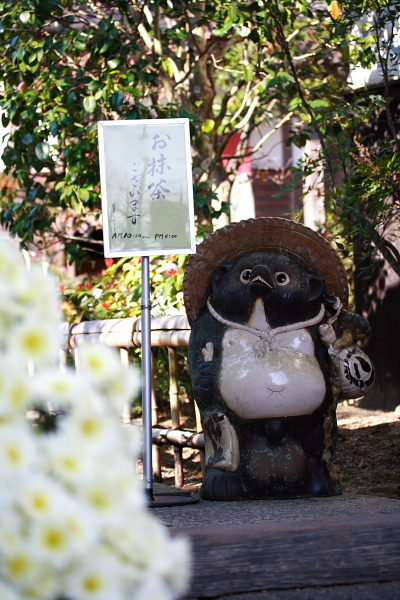 紅葉の山寺　普門寺　☆　2_d0120622_20495373.jpg