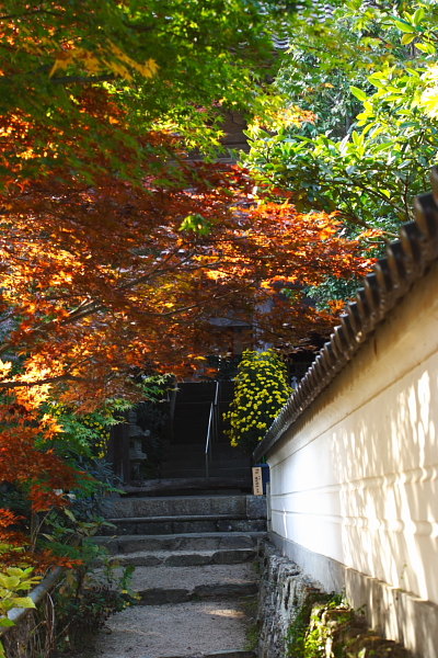 紅葉の山寺　普門寺　☆　2_d0120622_2050936.jpg