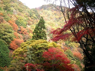 e0072023_19482399.jpg