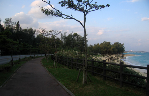 e0089826_21344764.jpg