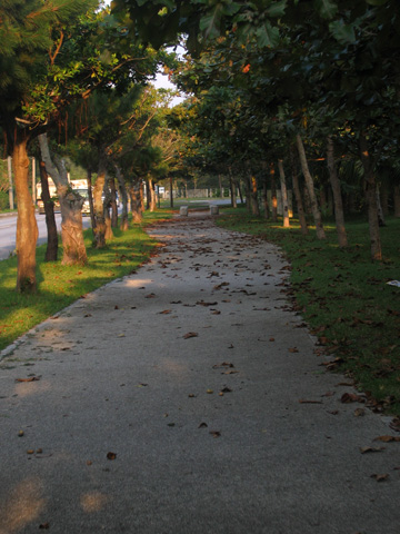 e0089826_2135610.jpg