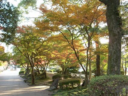 岩国・もみじ谷公園の紅葉_d0098327_211524.jpg