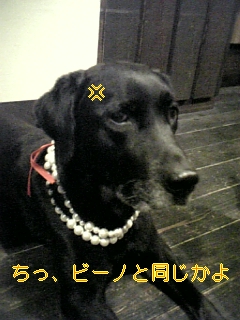 はぴば!!!_f0148927_1929459.jpg