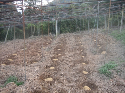 f0148649_23235100.jpg