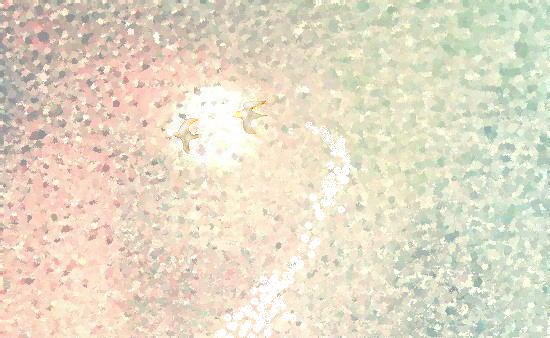 e0126350_0242868.jpg