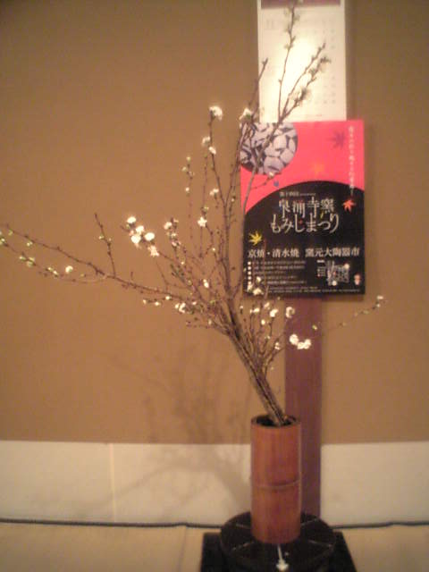 １１月 寒桜のお生花 ふくみみ日記